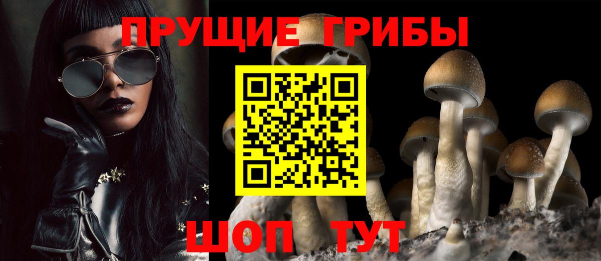 Псилоцибиновые грибы Cubensis Кировск