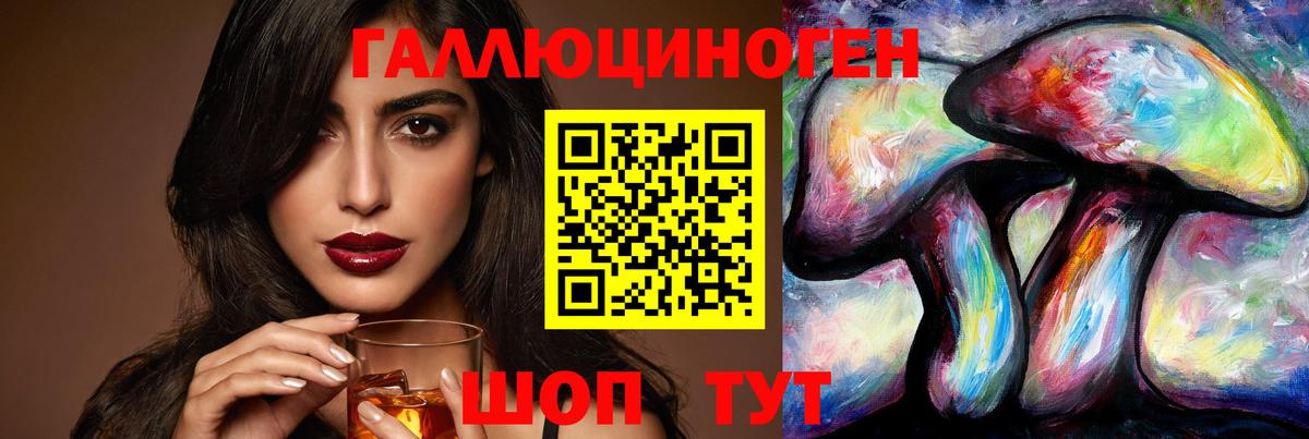 Галлюциногенные грибы Psilocybe  Кировск  Псилоцибиновые грибы мухоморы 