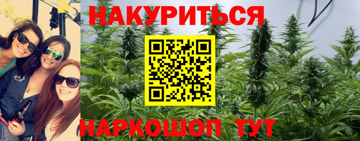 Каннабис OG Kush  Кировск  Каннабис THC 21%  Бошки Шишки Bruce Banner 